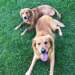 Meet your Posher, Katie